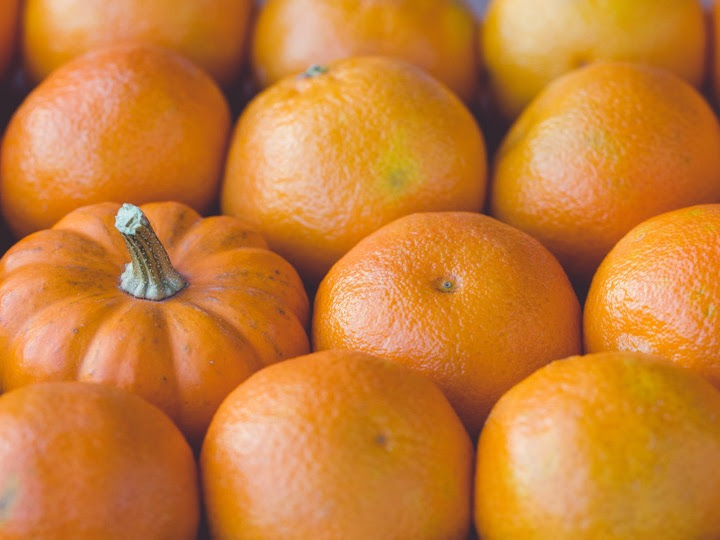 Click Catalyst Digital Marketing Agency