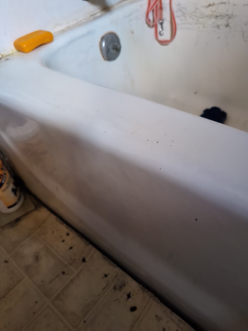 Diamond's Destiny All in One Sales and AI Powered Digital Marketing Agency