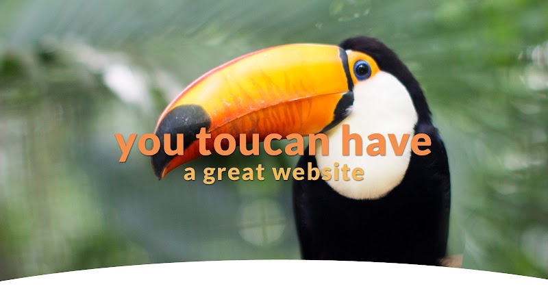 First Net Impressions