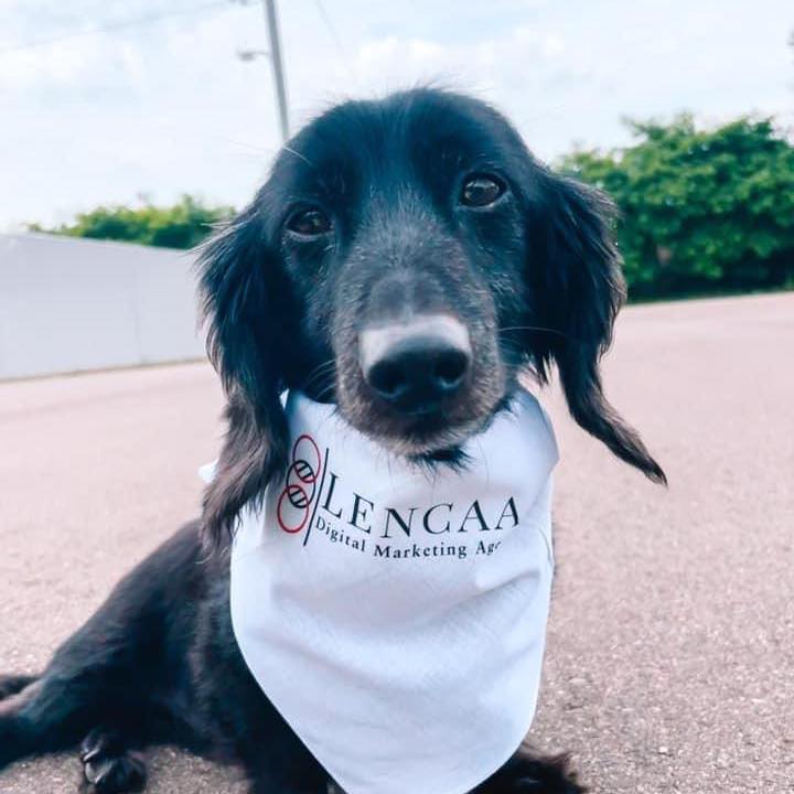 Lencaa Digital Marketing Agency