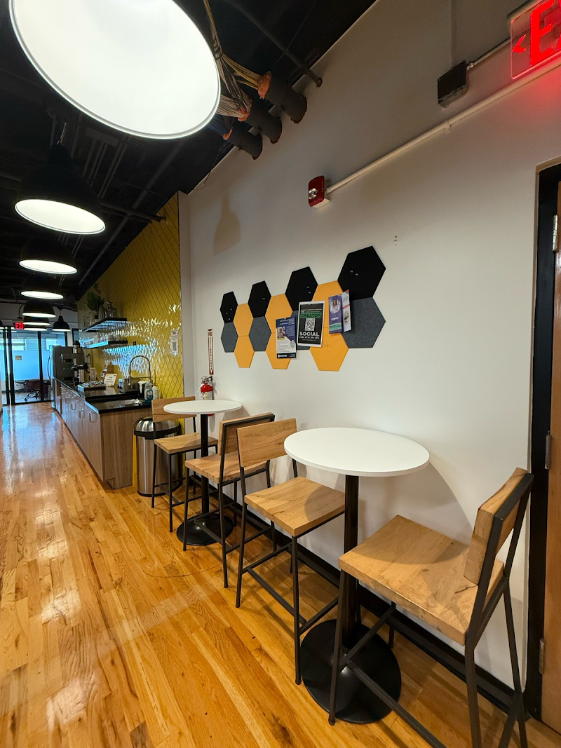 The AD Leaf Marketing Firm Studio Orlando