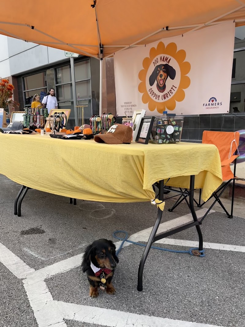 The Social Butterfly - Media Consulting