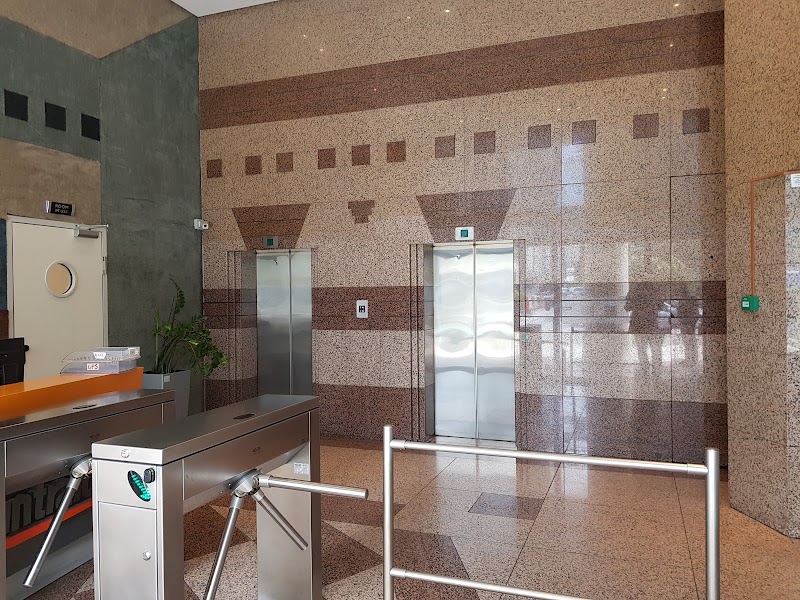 Wizard Digital Marketing Agency